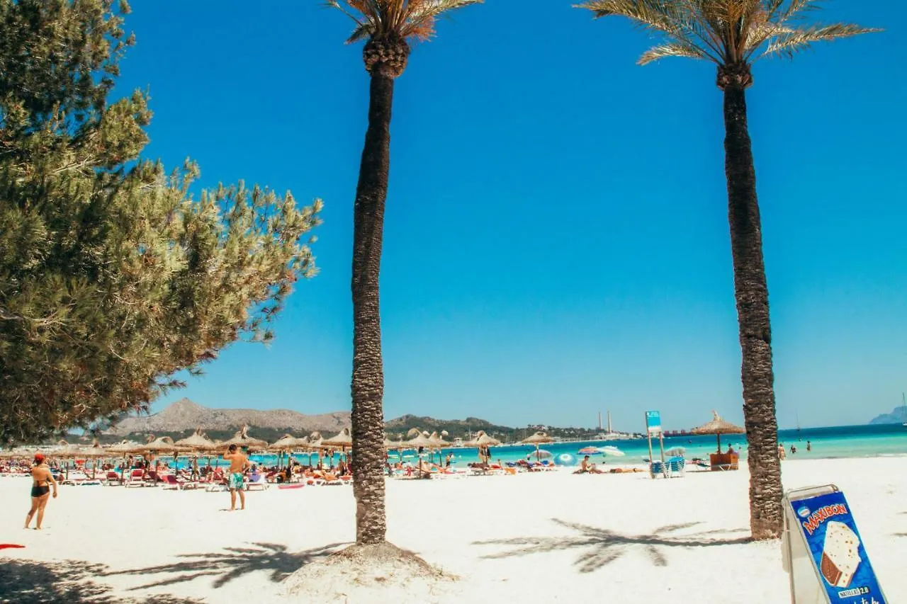 D\'Agosta Beach Apartment contacts